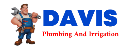 Trusted plumber in BRIDGMAN